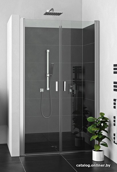 Душевая дверь Roth Lega Lift Line LZCN2/80 (хром/прозрачное)