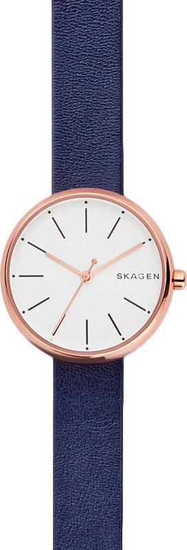 

Наручные часы Skagen SKW2592