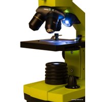 Детский микроскоп Levenhuk Rainbow 2L Plus (лайм) 69044