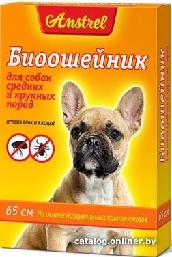 Ошейник от блох и клещей Amstrel для собак средних и крупных пород (оранжевый)