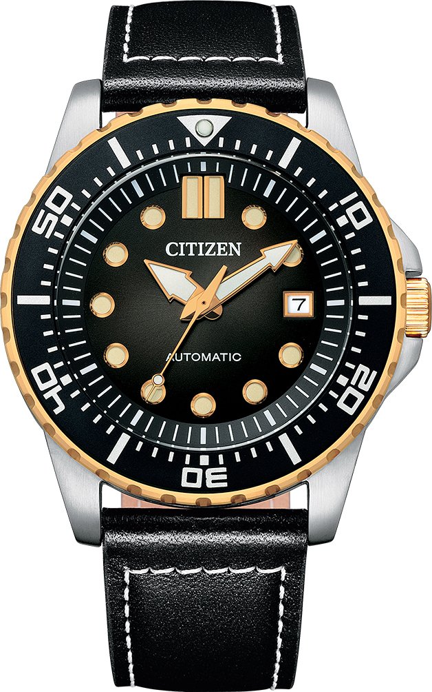 

Наручные часы Citizen NJ0176-10E