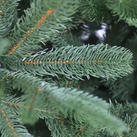 Ель GrandSiti Венеция премиум 3 м