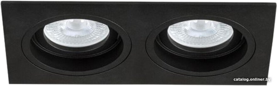 Точечный светильник Arte Lamp Tarf A2178PL-2BK