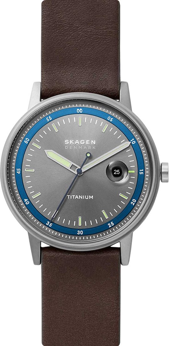 

Наручные часы Skagen Henricksen SKW6753