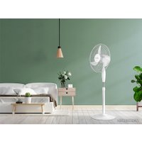 Вентилятор Ballu BFF-806 (белый)