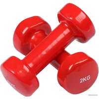 Набор гантелей Indigo 92005 IR 2x2 кг (красный)