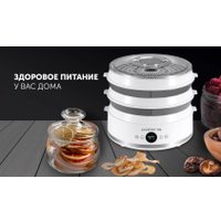 Сушилка для овощей и фруктов Polaris PFD 2808V
