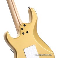 Электрогитара Cort G250 CGM