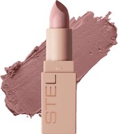 Long lasting lipstick 10 perfect nude (3.8г)