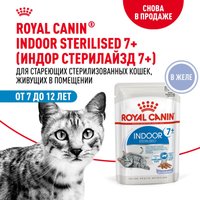 Консервированный корм для кошек Royal Canin Indoor Sterilised 7+ in Jelly кусочки в желе 12x85 г