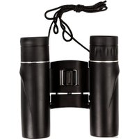 Бинокль Praktica Falcon 10x25 (черный)