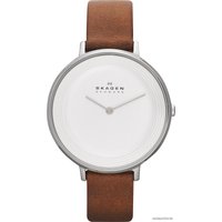 Наручные часы Skagen SKW2214