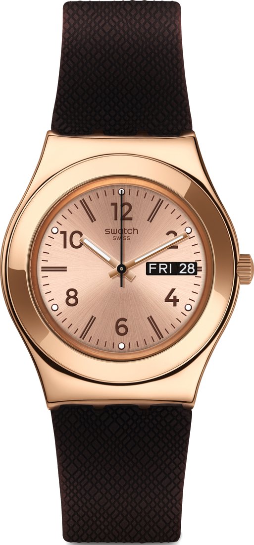 

Наручные часы Swatch Irony YLG701