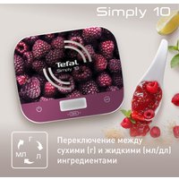 Кухонные весы Tefal BC8000V0