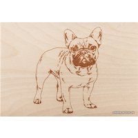 Доска для выжигания Rexant Набор №3 12-0938 (5 шт)