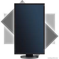 Монитор NEC MultiSync EA243WM Black/Black