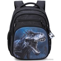 Школьный рюкзак SkyName R3-277 + брелок мячик