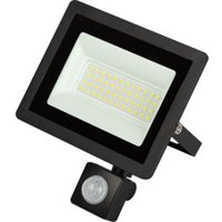 Уличный прожектор ЭРА LPR-042-2-65K-050 в Гомеле