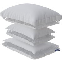 Спальная подушка PROxSON Terra Duo 50x70