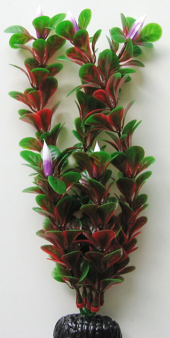 

Декорация Barbus Людвигия ползучая Plant 022/30 (красный)