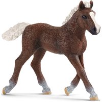 Фигурка Schleich Шварцвальдский жеребенок 13899