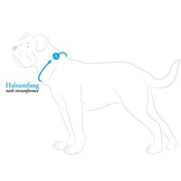 Ошейник Hunter Collar Swiss 41867 (55/M, красный/черный)