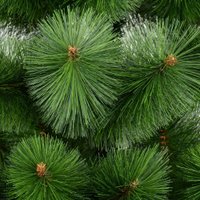 Ель Erbis Zylk 120