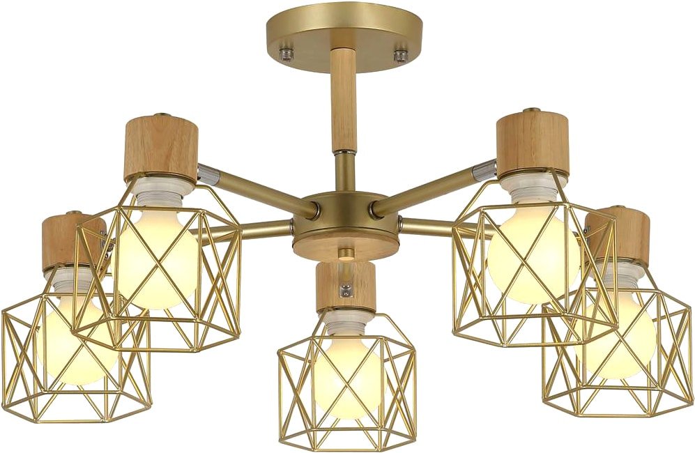 

Люстра средней высоты Evoluce Stelitto SLE110402-05