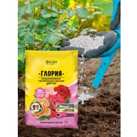 Удобрение Фаско Глория для роз гранулированное (1 кг)