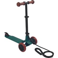 Трехколесный самокат Shulz ANT Mini (зеленый)