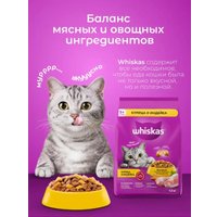 Сухой корм для кошек Whiskas Вкусные подушечки с нежным паштетом с курицей и индейкой 1.3 кг