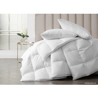 Одеяло Даргез Женева 203138 (172x205)