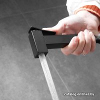 Гигиенический душ Shevanik S137H