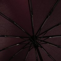 Зонт Rain Berry 734-31203.3 (фиолетовый)