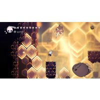  Hollow Knight для PlayStation 4