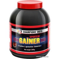 Протеин комплексный Академия-Т Sportein Gainer (2500г, шоколад) в Могилеве