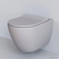 Сиденье для унитаза Ambassador Queen 112T20301S (серый матовый)