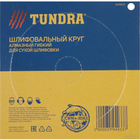 Шлифовальный круг Tundra 3594933 в Гродно
