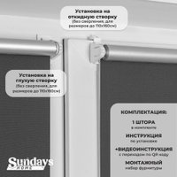 Рулонные шторы Sundays Home LM 167-07 78х215 (темно-серый)