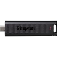 USB Flash Kingston DataTraveler Max Type-C 1TB