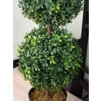 Искусственное растение Merry Bear Home Decor Самшит Шаровидный В Горшке AQ61090