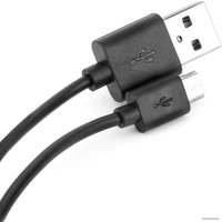 Наушники Brainwavz BLU-100