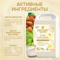  Septivit Гель для душа Frutsy Ванильный пломбир 5 л