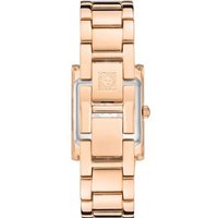 Наручные часы Anne Klein Steel 3954NVRG в Лиде
