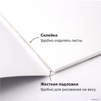 Альбом для рисования BRAUBERG Art Premiere 113216 (20 л)