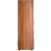 Напольная акустика DALI IKON 8