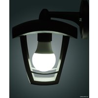 Уличный настенный светильник TDM Electric SQ0330-1302