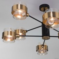 Люстра средней высоты Евросвет 70127/8 (черный)