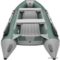 Моторная лодка Roger Boat Trofey 2900 (без киля, зеленый/серый)