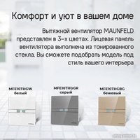 Осевой вентилятор MAUNFELD MFE10THGGR